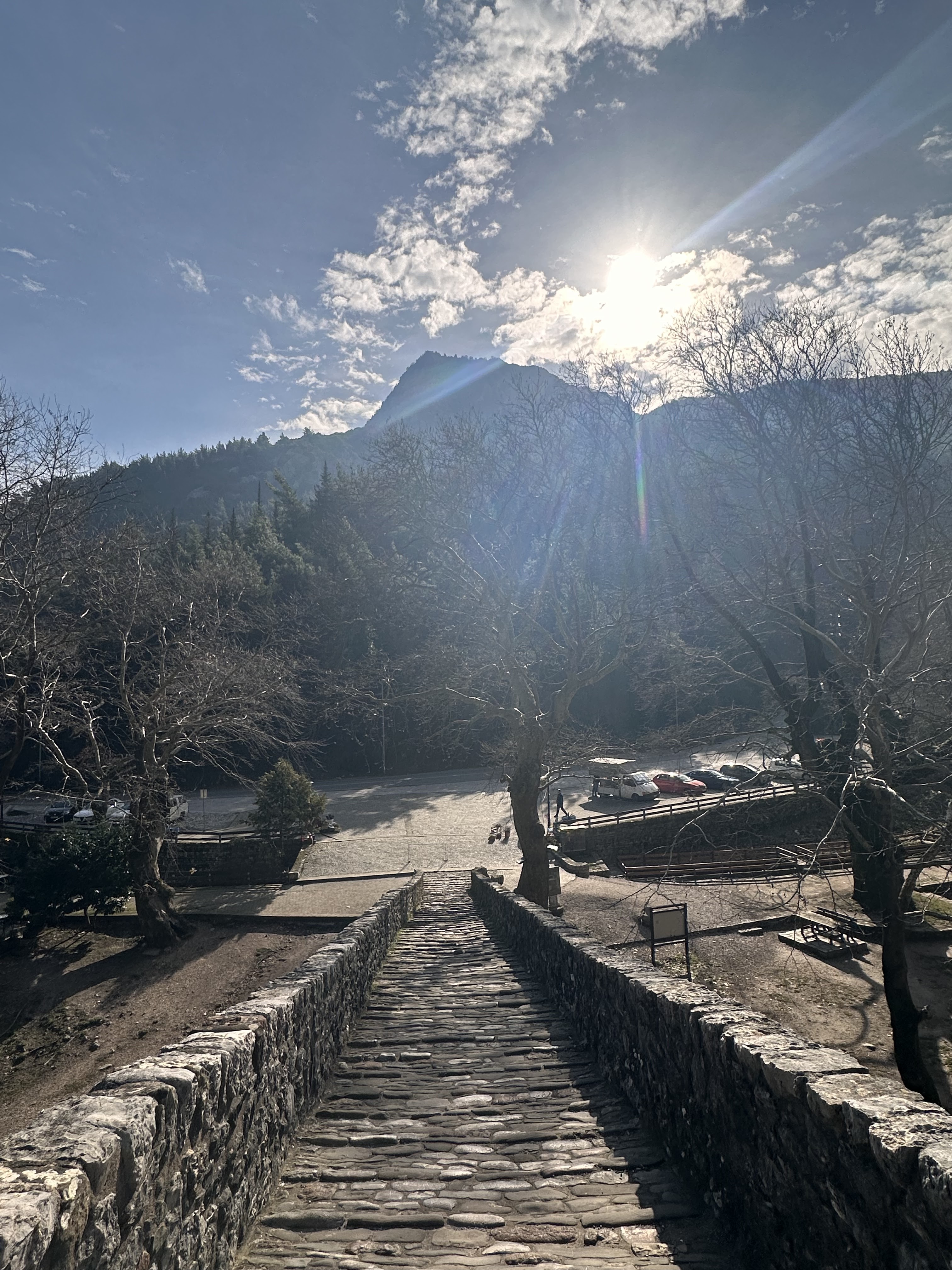 Bridge pathway